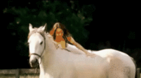 25hjorc.gif