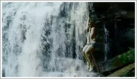 34zmxx5.gif